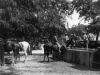 Fuente del Paseo de Rojas